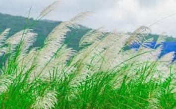 Không có cái gì tuyệt đối cả